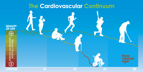 The Cardiovascular Continuum